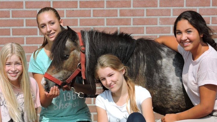 Nieuwe vriendinnen ♥