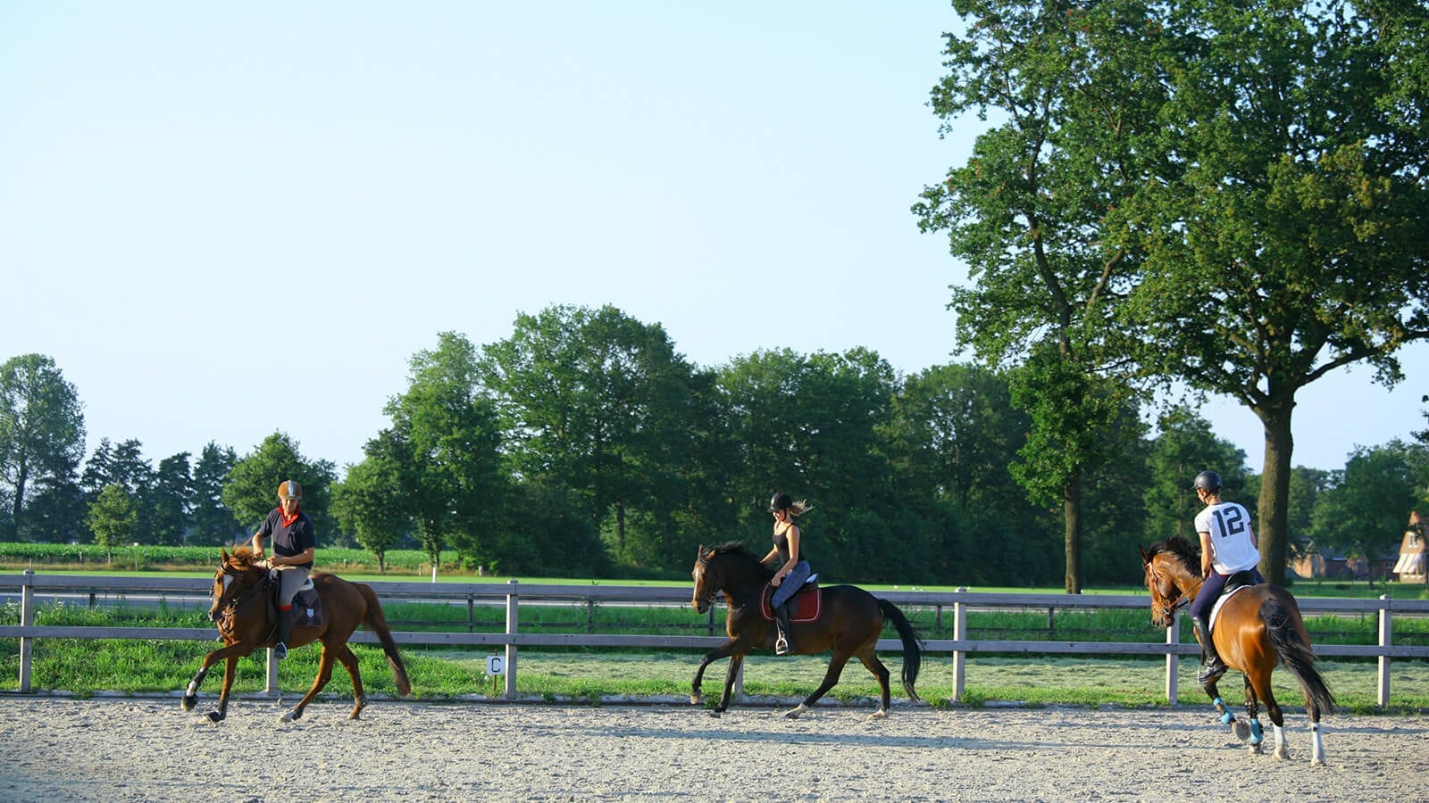 Paardrijden paardrijkamp