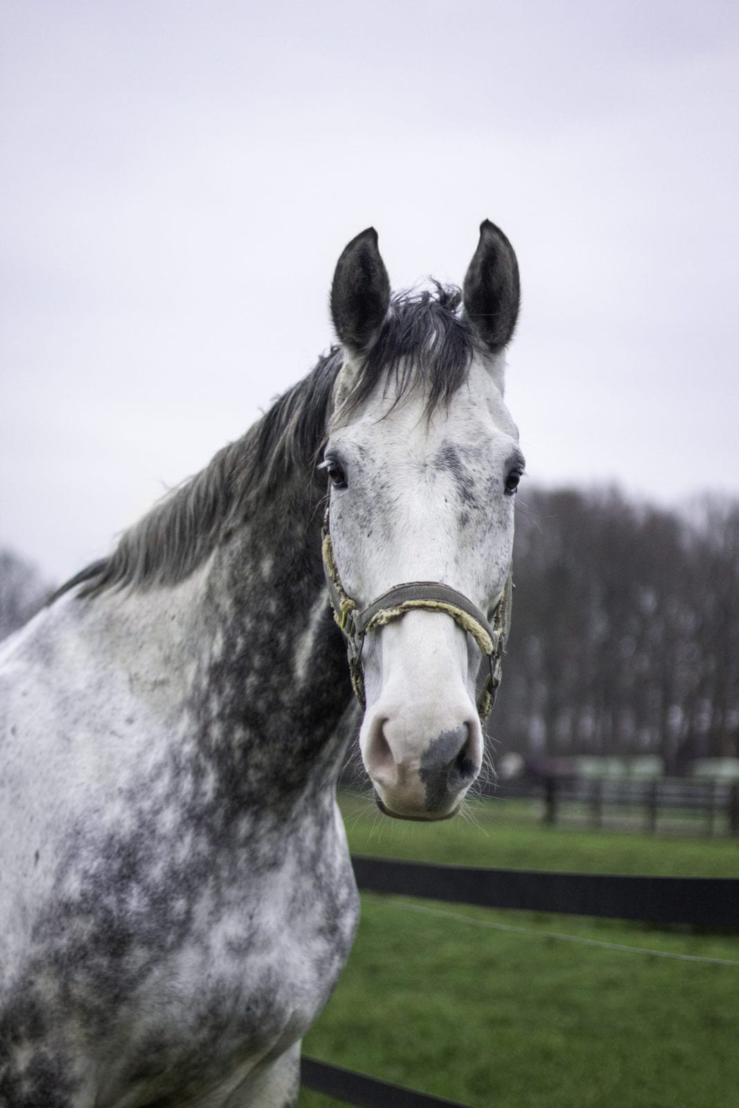 Casper (pension)