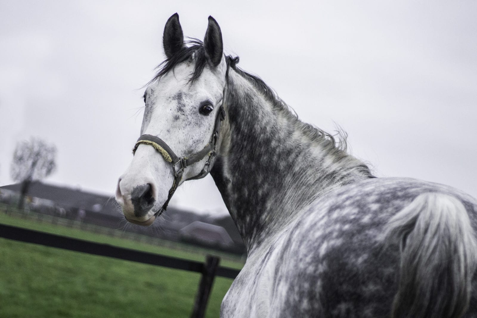 Casper (pension)